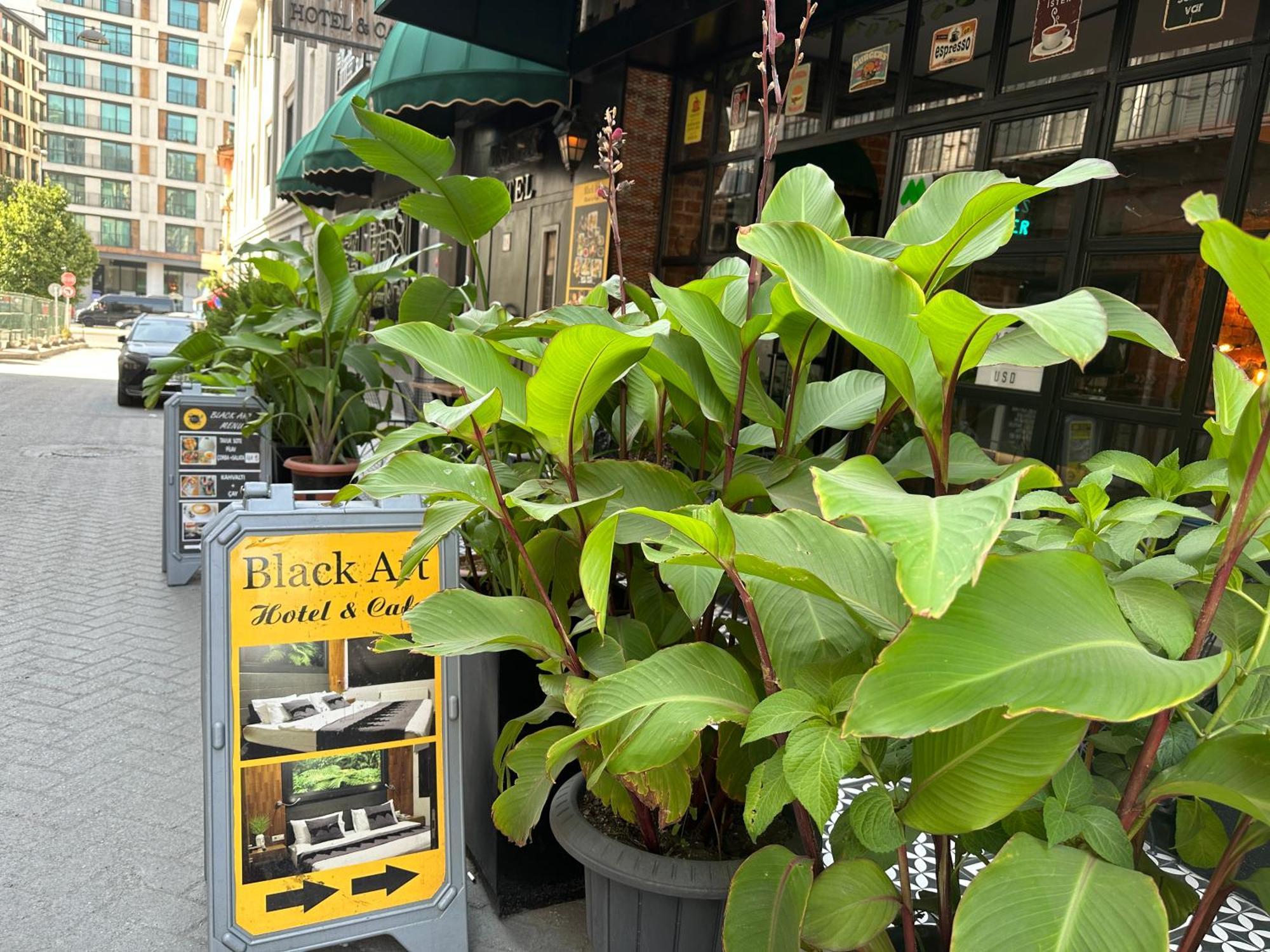 Black Art Otel — Photos 1
